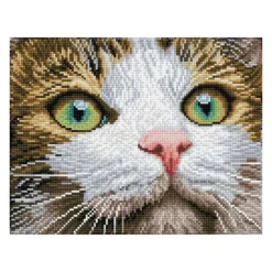 Diamond Dotz Green Eyed Beauty (43x35cm)> Creatief