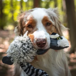 Duvo+ Koelkom (ø19,5cm) wit/blauw> Hond|Kat