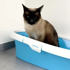 Duvo+ Potige Smurf open kattentoilet (58x39x17cm) Smurf> Kat