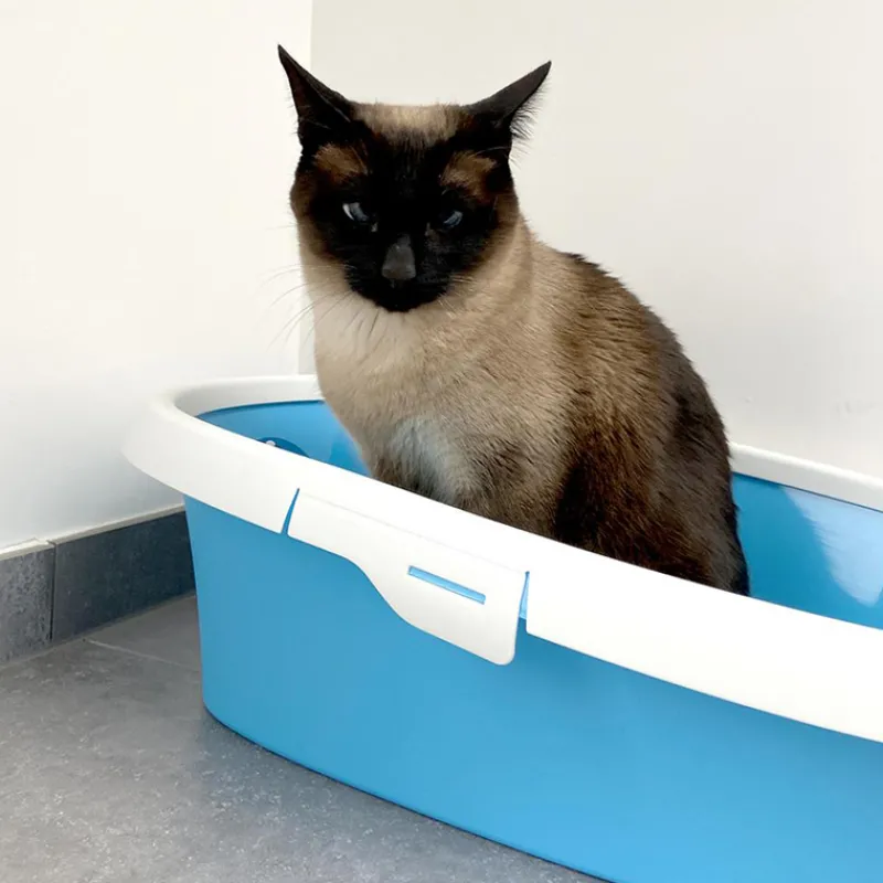 Duvo+ Potige Smurf open kattentoilet (58x39x17cm) Smurf> Kat