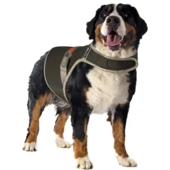 Duvo+ Veiligheidsjasje fluo flash XL – USB zwart> Hond