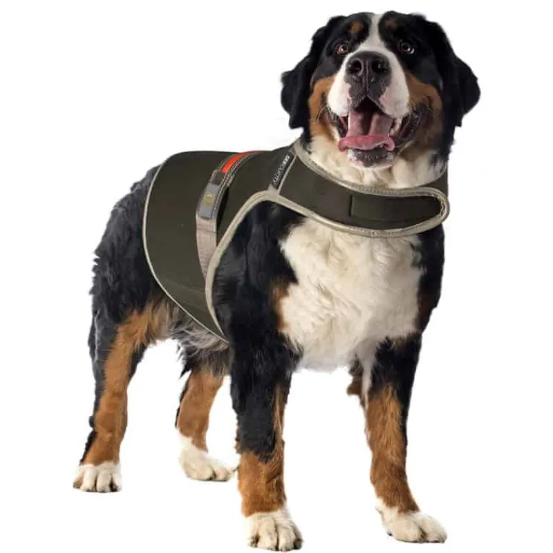 Duvo+ Veiligheidsjasje fluo flash XL – USB zwart> Hond