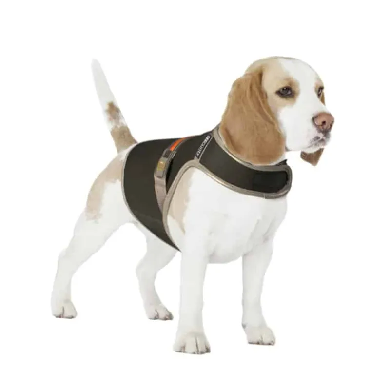 Duvo+ Veiligheidsjasje fluo flash M – USB zwart> Hond