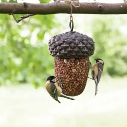 Eikel voederhanger> Vogel