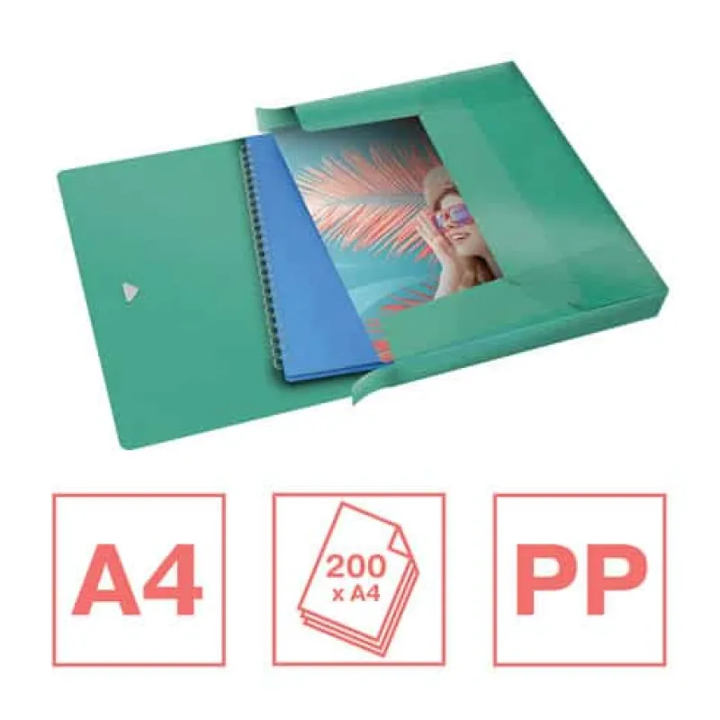 Esselte Documentenbox (25mm) groen> Mappen & Ordners