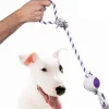 Hondentouw met handvat en bal (52cm, ø6cm)> Hond