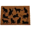 Mat Kokosvezel Katten (40x60cm)> Woonaccessoires