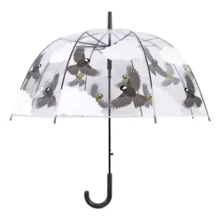 Paraplu transparant 2-zijdig vogel> Regenkleding & Paraplu'S