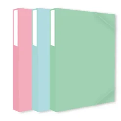 Pastel Elastobox PP A4 25mm> Mappen & Ordners