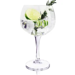Royal Leerdam Gin Tonic glazen (65cl) – 4 stuks> Glazen & Bekers