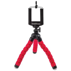 Science 4 You Be a Youtuber><noscript><img width=