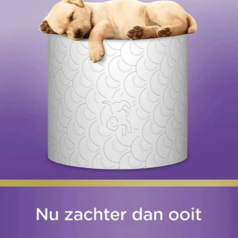 Scottex Kussenzacht wit 20+4 pack> Hygiëne|Badkamer