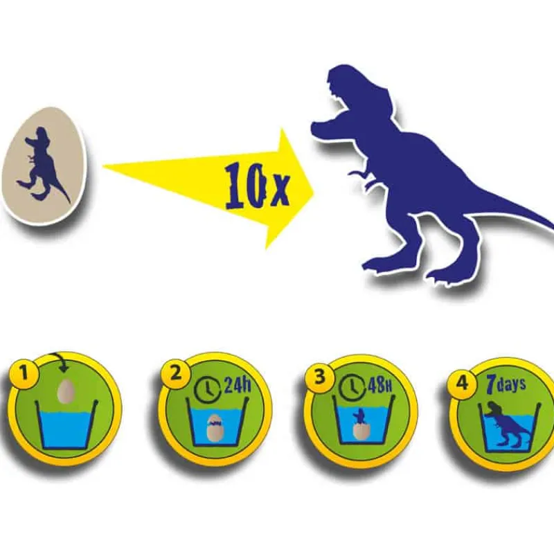 SES Dino uitbroeden> Creatief