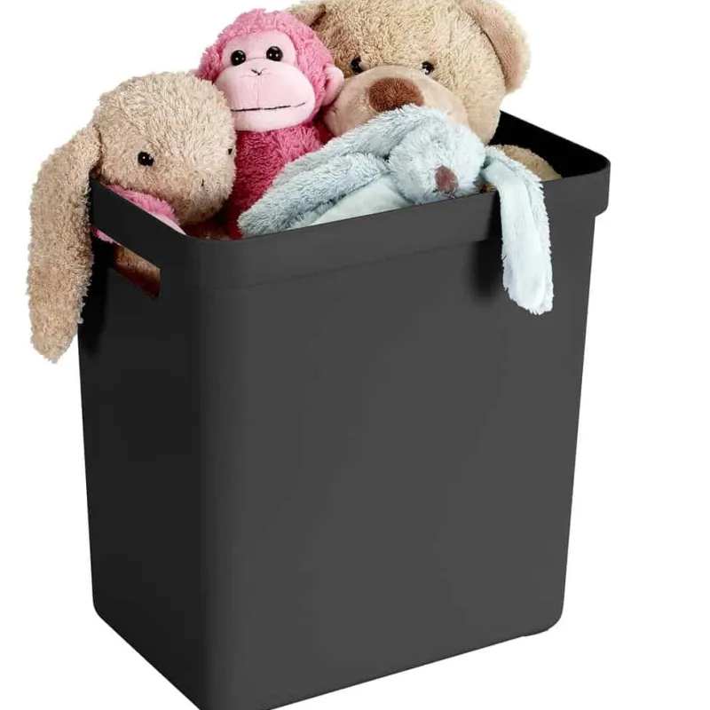 Sunware Sigma home box 25L met deksel> Opbergen